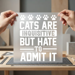 Cats Inquisitive Funny Cat Mom Dad Ready to Press DTF Transfer for Dtf