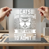 Inquisitive Cat Quote Humorous Funny Sarcastic Ready to Press DTF Transfer for Dtf