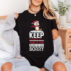 Keep Looking Penguin Motivational Christmas Winter Ready to Press DTF Transfer for Dtf