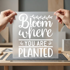 Bloom Where You Planted Aesthetic Ready to Press DTF Transfer for Dtf