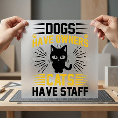 Cats Have Staff Humorous Mom Dad Ready to Press DTF Transfer for Dtf