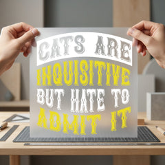 Cats Inquisitive But Hate Funny Sarcastic Ready to Press DTF Transfer for Dtf
