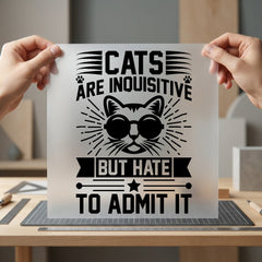 Inquisitive Cat Quote Humorous Funny Sarcastic Ready to Press DTF Transfer for Dtf