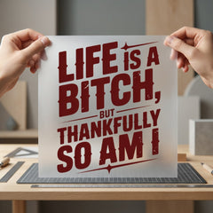 Life Bitch But Thankfully Sarcastic Vintage Ready to Press DTF Transfer for Dtf