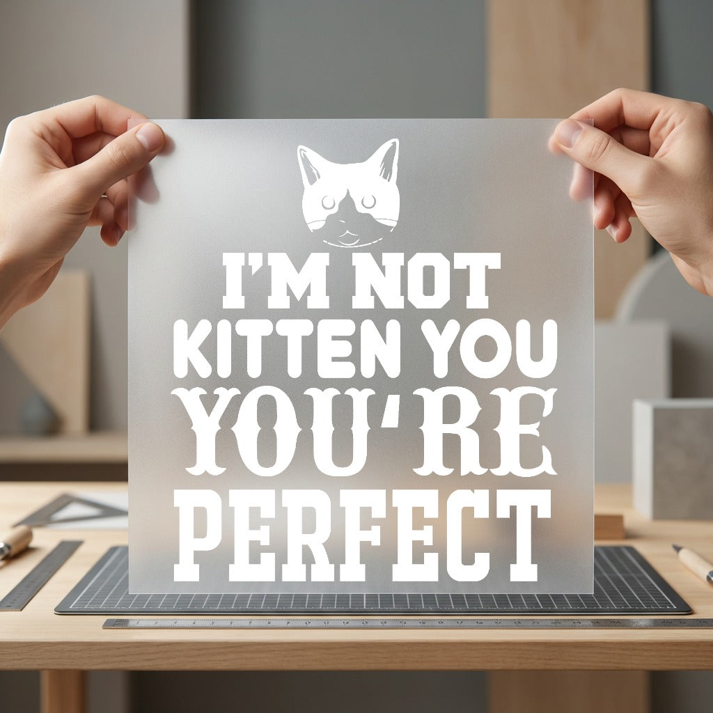 Not Kitten You Funny Funny Sarcastic Ready to Press DTF Transfer for Dtf
