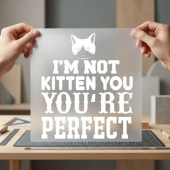Not Kitten You Funny Funny Sarcastic Ready to Press DTF Transfer for Dtf