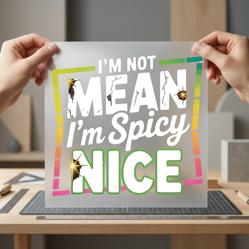 Not Mean Spicy Humorous Funny Sarcastic Ready to Press DTF Transfer for Dtf