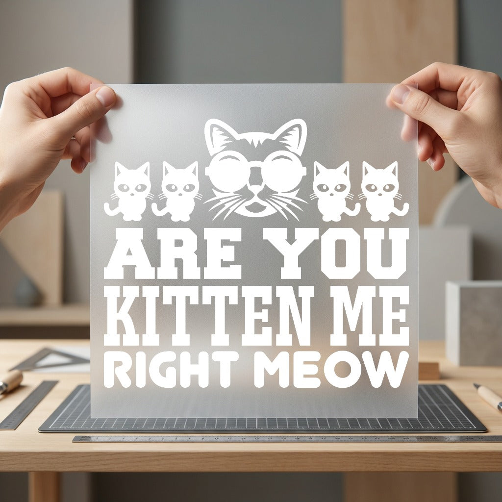 You Kitten Right Meow Funny Sarcastic Ready to Press DTF Transfer for Dtf