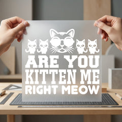 You Kitten Right Meow Funny Sarcastic Ready to Press DTF Transfer for Dtf