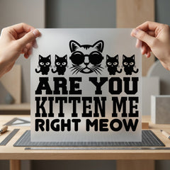 You Kitten Right Meow Funny Sarcastic Ready to Press DTF Transfer for Dtf